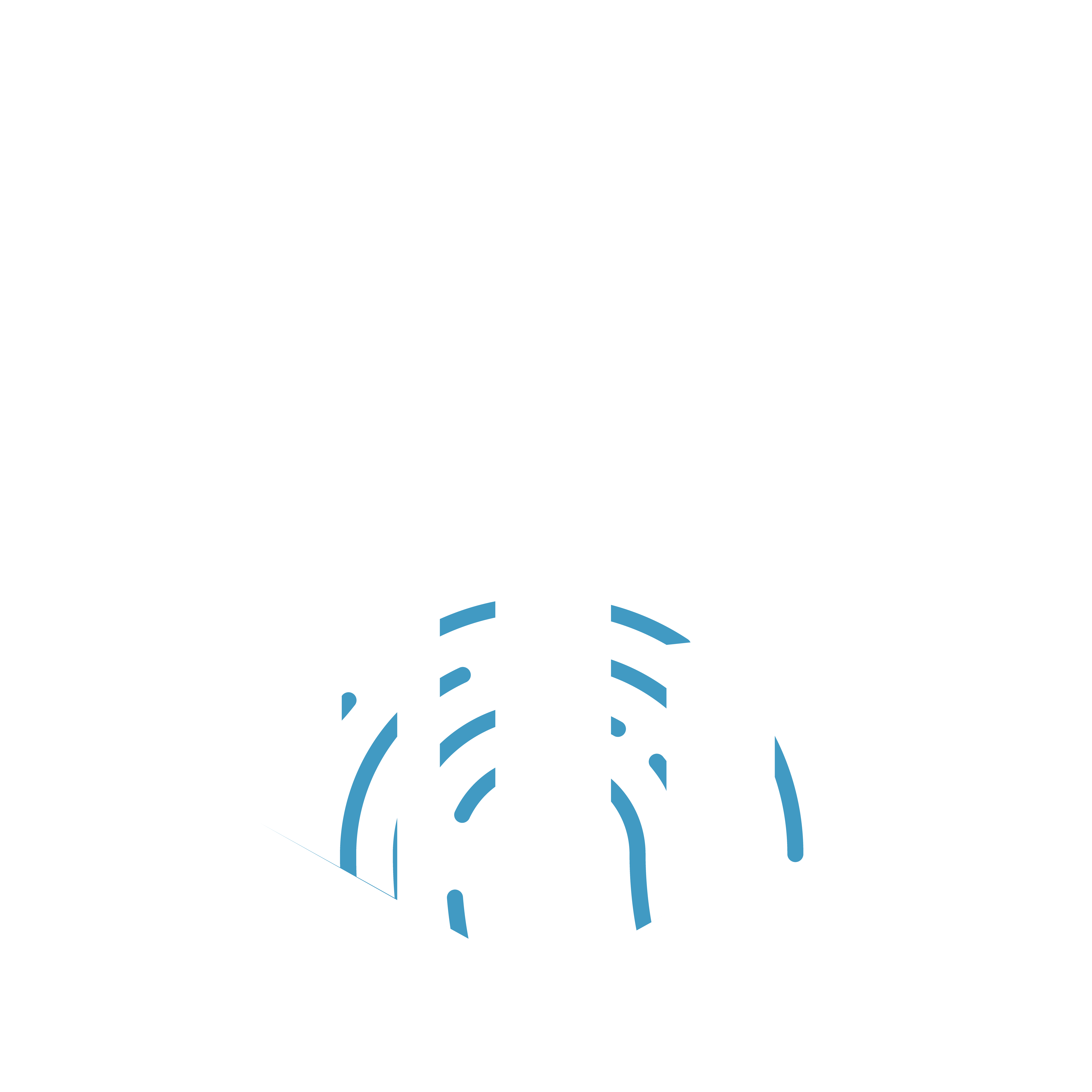 SFH Brand Protection